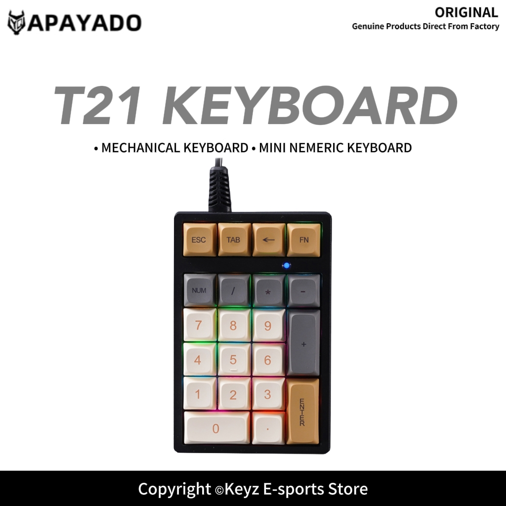 Gaming Keyboard Blue Switches - T21 ミニ数字キーパッド RGB バックライト ブルースイッチ APAYADO